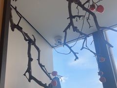 -杏花堂晋商私房菜(华熙五棵松店)