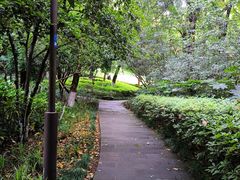 -杭州半山国家森林公园