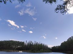 -东郊湿地公园