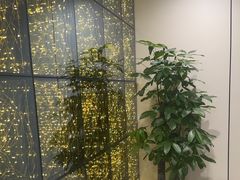 -W·24H茶楼·棋牌·掼蛋(望京店)