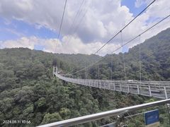 -九龙江国家森林公园