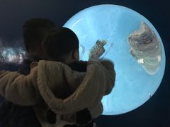 -苏州海洋馆