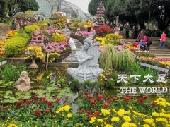 -南山植物园