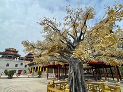 -广东圆玄道观