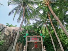 -海南分界洲岛旅游区