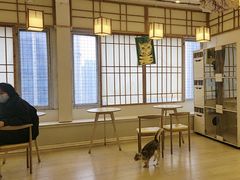 -Let's go狗咖·猫咖·奶狗·桌游(春熙路IFS店)
