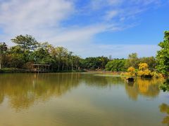 -大湾区中央湿地公园
