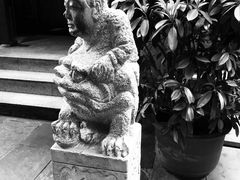 -星巴克臻选(成都宽窄巷子店)