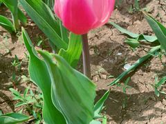 -长春公园(普阳街道)