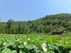 -渭南桃花源民俗文化园