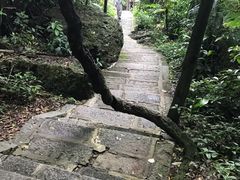 -七仙岭温泉国家森林公园