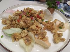 -丁老爷子苏香圆