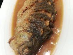 红烧黄河大鲤鱼-阿庄新豫菜(航海东路店)
