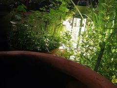 -苹果树下艺术餐厅(通州店)