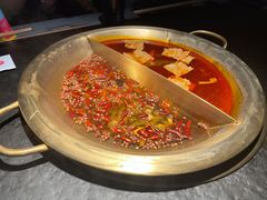 -九鼎轩脆毛肚火锅(南京东路店)