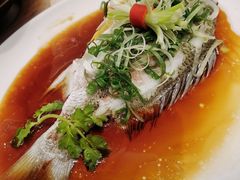 -金苑海鲜酒家(来魅力店)