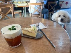 -Torch Coffee 炬点咖啡