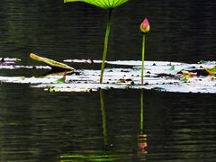 -太阳宫公园