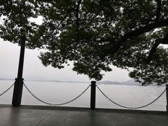 -南方迷宗大包(湖滨店)