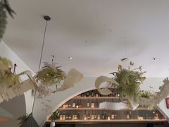 -春树下·树屋花房西餐厅(罍街AS1980店)