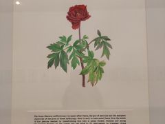 -北京大学赛克勒考古与艺术博物馆