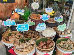 -菌彩云南野生菌火锅(万达广场店)