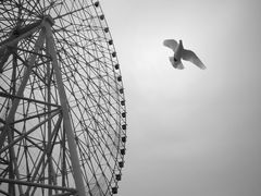 -南昌之星摩天轮