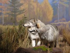 -陕西自然博物馆