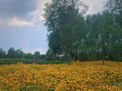 -东郊湿地公园