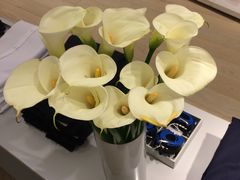 -COS(月星环球港店)