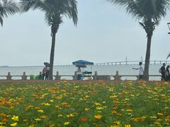 -金悦轩海鲜酒家(拱北店)