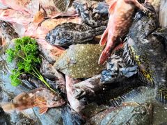 -大锅强·蒸海鲜青岛菜(吾悦广场店)