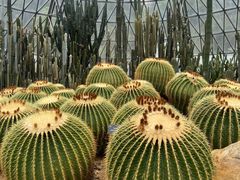 -深圳仙湖植物园