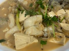-煲来饱去冷水鱼