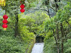 -广州市石门国家森林公园