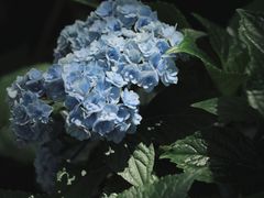 -城隍阁