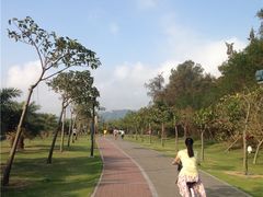 -野狸岛