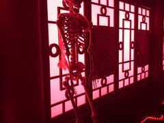 灵魂之旅-芜湖方特东方神画