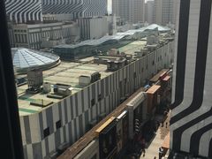 -Monkey Music小猴子现代音乐