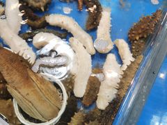 -舜耕山庄四时万和自助餐厅