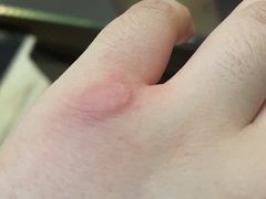 -欢乐海岸美食联盟