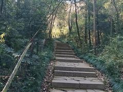 -杭州半山国家森林公园