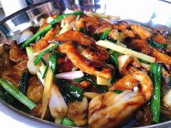 鸭嘴鱼-鲤鱼塘农家山庄