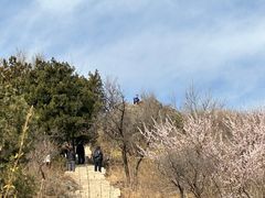 -北京西山国家森林公园