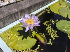 -钱王祠