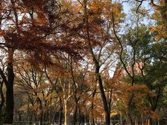 -苏州大学(天赐庄校区)