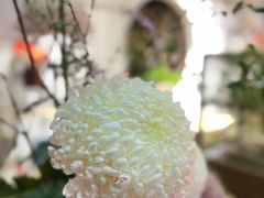 -我嘉书房(南翔名士居店)