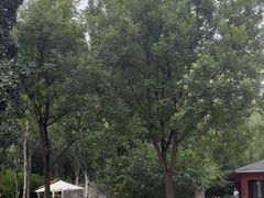 -北极寺公园