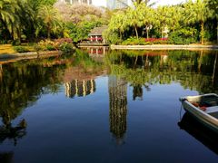 快绿湖一角-广州珠江公园