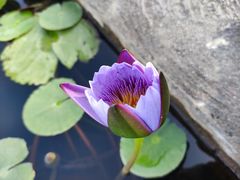 -华南国家植物园-售票处